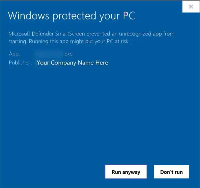 The Windows security screen you may see on first launch